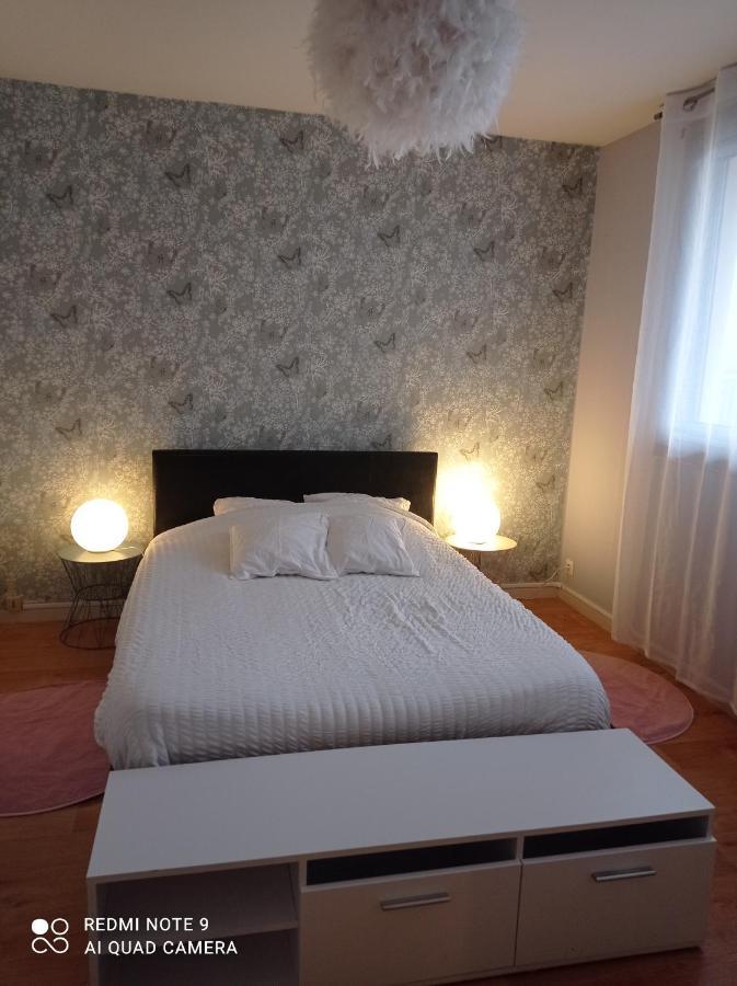 Le Cosy Apartment Vichy Ngoại thất bức ảnh